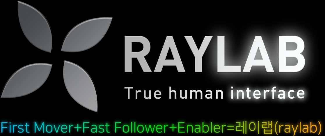 RAYLAB True human interface First Mover + Fast Follower + Enabler = 레이랩(raylab)